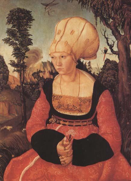 Lucas Cranach the Elder Anna Putsch,First Wife of Dr.johannes (mk45) oil painting image